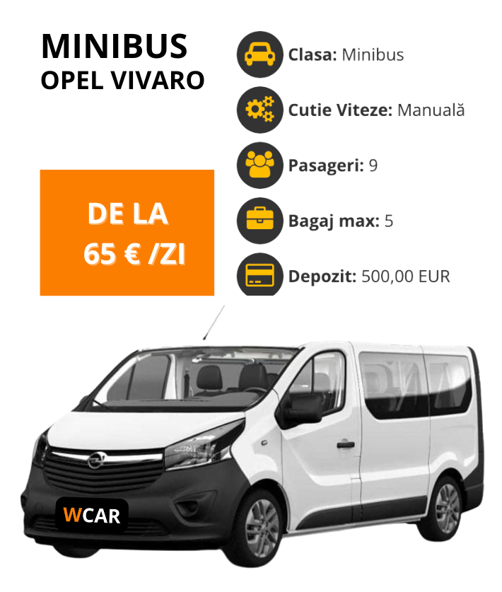 MINIBUS-OPEL VIVARO